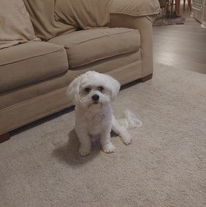 Meet your Posher, Michele